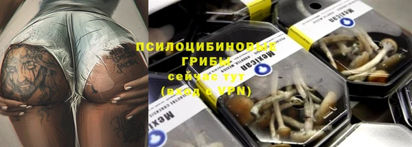 амф Абдулино